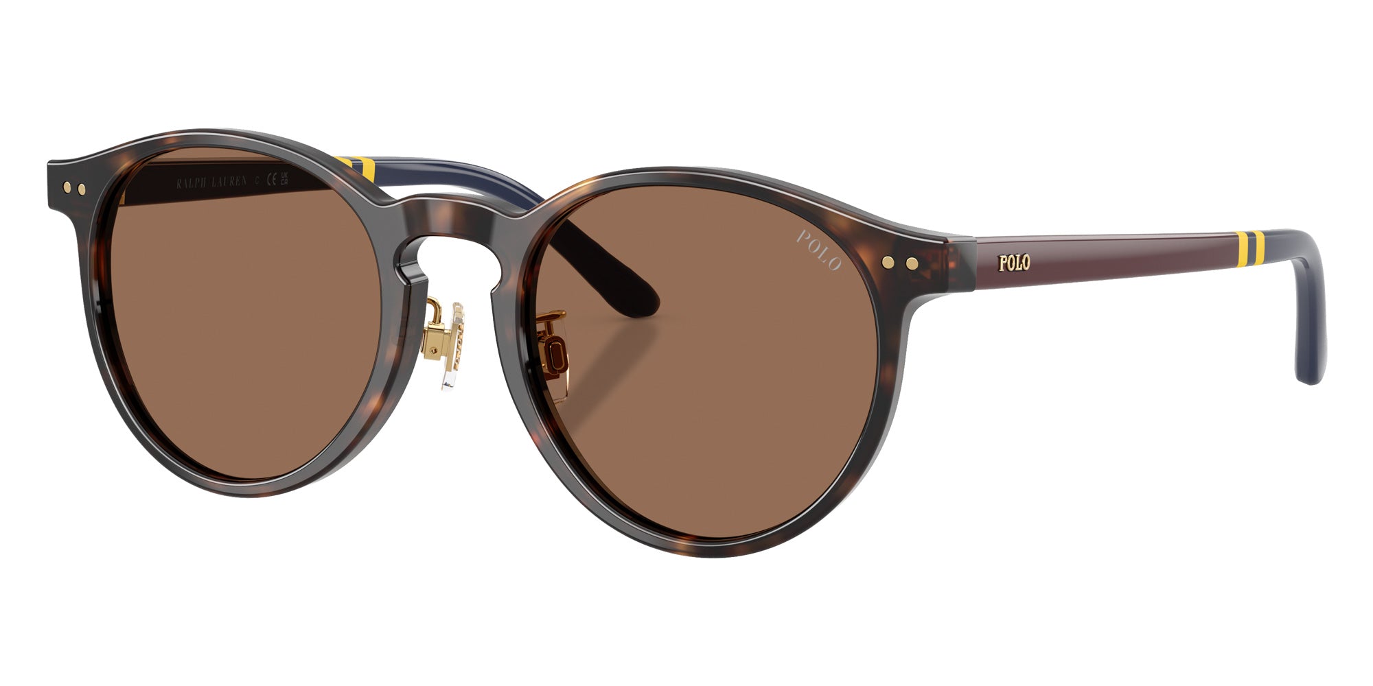 POLO RALPH LAUREN PH4236F 500373 50 - Shiny Dark Havana / Brown #id:ph4236f500373_s:102105