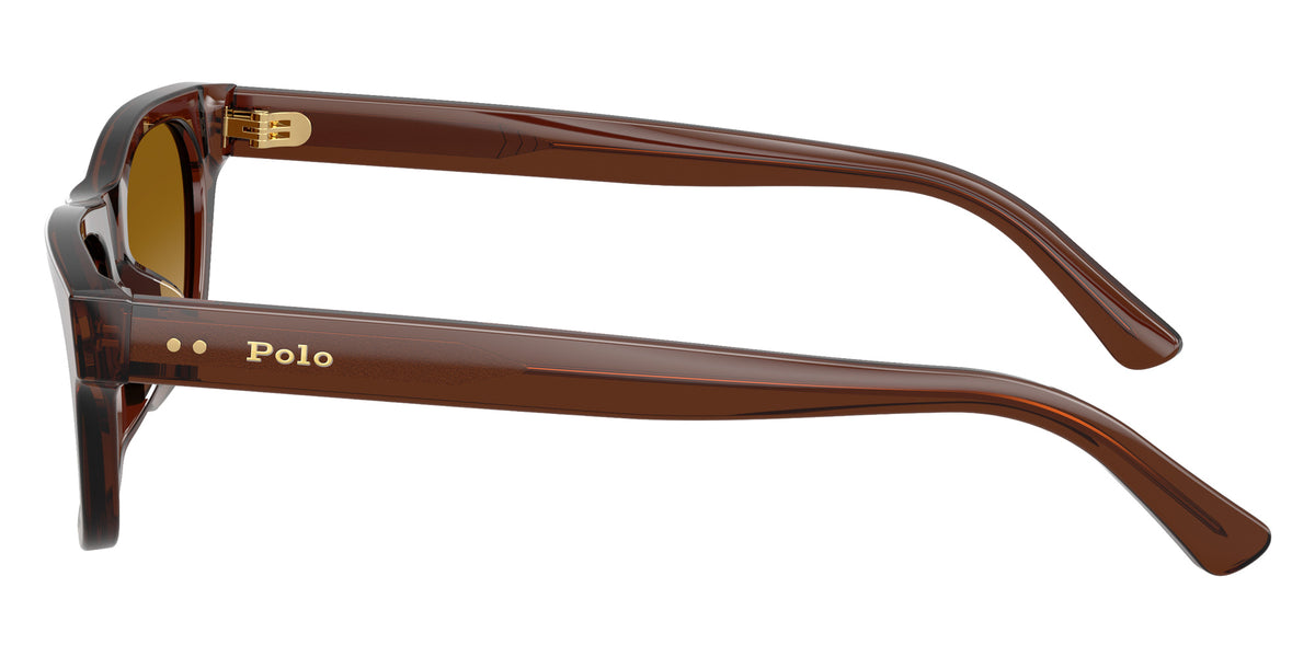 POLO RALPH LAUREN PH4238U 63532L 53 - Shiny Transparent Brown / Light Yellow Gradient #id:ph4238u63532l_s:110110