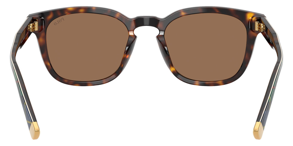 POLO RALPH LAUREN PH4242F 562573 52 - Shiny Havana #id:ph4242f562573_s:102115