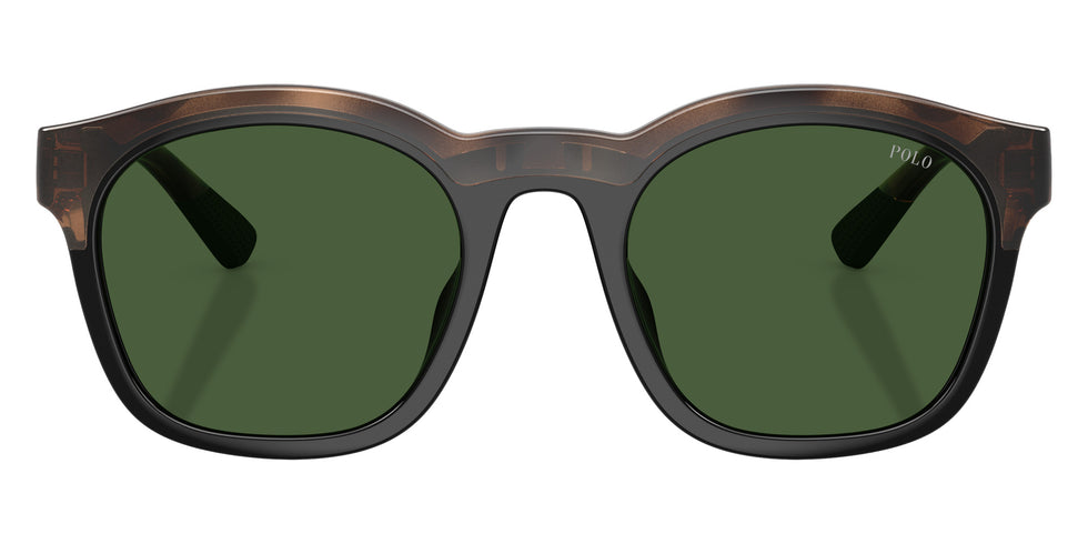 POLO RALPH LAUREN PH4243U 607071 51 - Havana/Black #id:ph4243u607071_s:104100