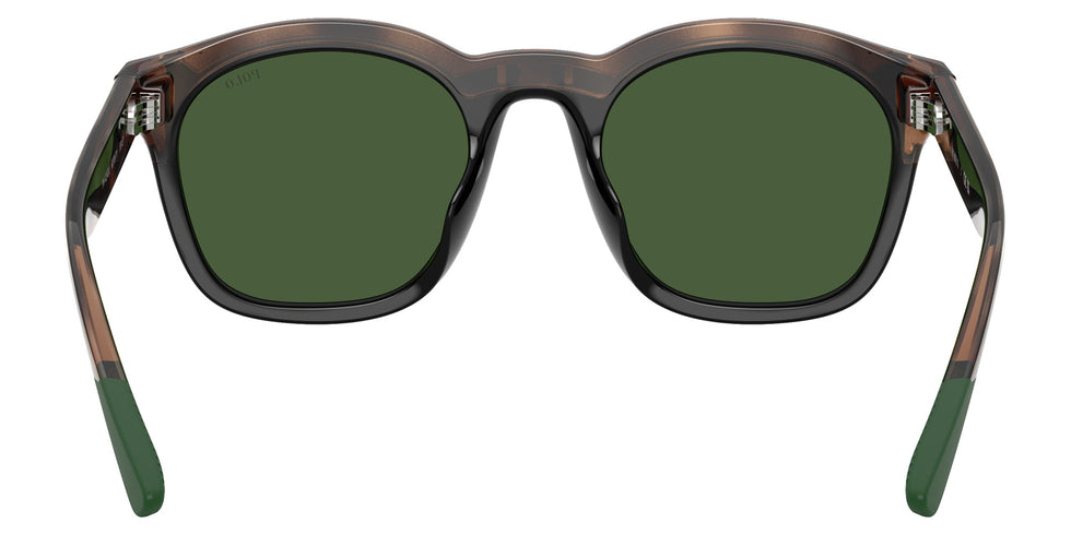 POLO RALPH LAUREN PH4243U 607071 51 - Havana/Black #id:ph4243u607071_s:104115