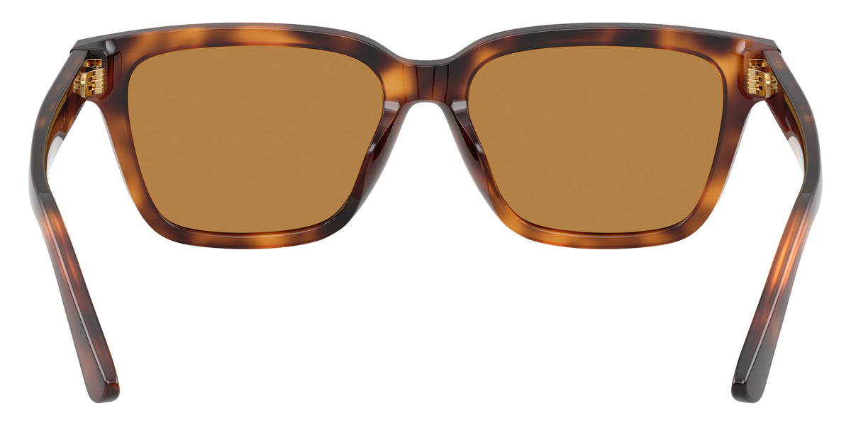 POLO RALPH LAUREN PH4247U 635593 54 - Shiny Tortoise / Light Brown #id:ph4247u635593_s:108115