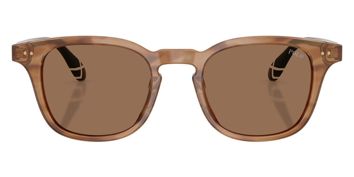 POLO RALPH LAUREN PH4251U 613873 50 - Shiny Striped Havana / Dark Brown #id:ph4251u613873_s:106100