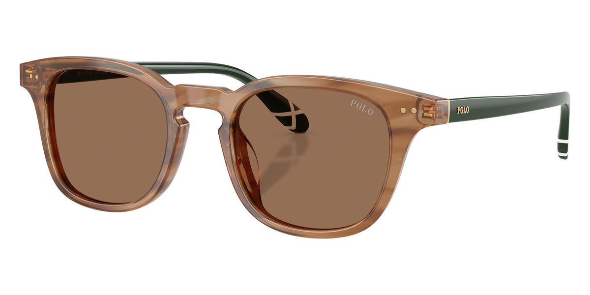 POLO RALPH LAUREN PH4251U 613873 50 - Shiny Striped Havana / Dark Brown #id:ph4251u613873_s:106105