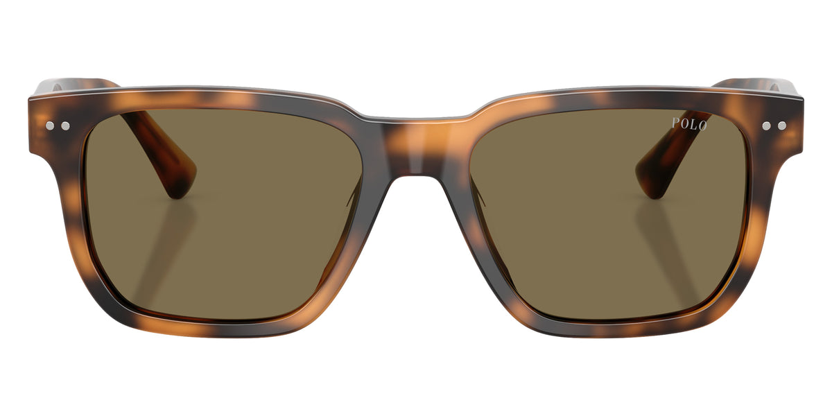 POLO RALPH LAUREN PH4252U 613873 53 - Shiny Tortoise / Brown #id:ph4252u613873_s:104100