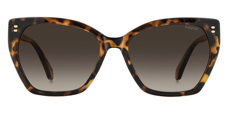 Polaroid PLD 4198/S/X/US 0086LA 56 - Havana #id:pld4198sxus0086la_s:100100