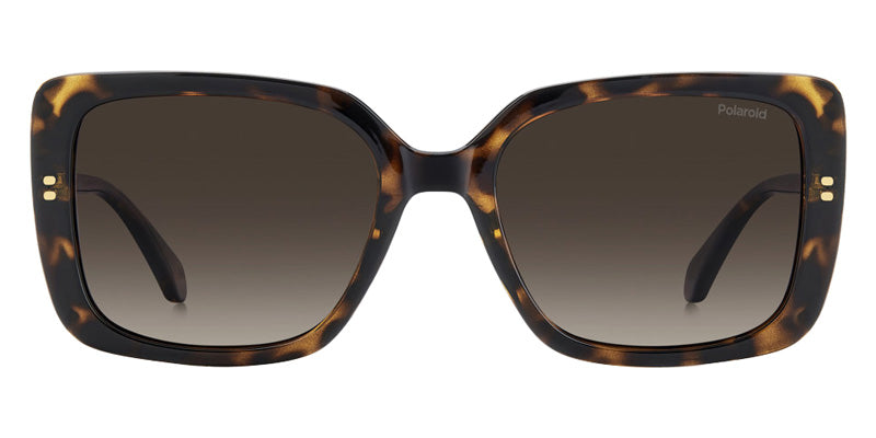 Polaroid PLD 4199/S/X/US 0086LA 55 - Havana #id:pld4199sxus0086la_s:100100