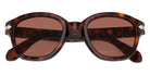 Persol PO0060S 24/H2 52 - Havana #id:po0060s24h2_s:100125