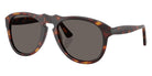 Persol PO0649NE - Total Black Arrow 24/B1 54 - Havana / Dark Gray #id:po0649ne24b1_s:100105