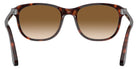 Persol PO1935S 24/51 53 - Havana / Clear Gradient Brown #id:po1935s2451_s:100115