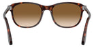 Persol PO1935S 24/51 57 - Havana #id:po1935s2451_s:100115