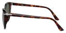 Persol PO3251S 24/31 55 - Havana / Green #id:po3251s2431_s:100110