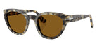 Persol PO3379S 107133 51 - Brown Tortoise / Brown #id:po3379s107133_s:102105