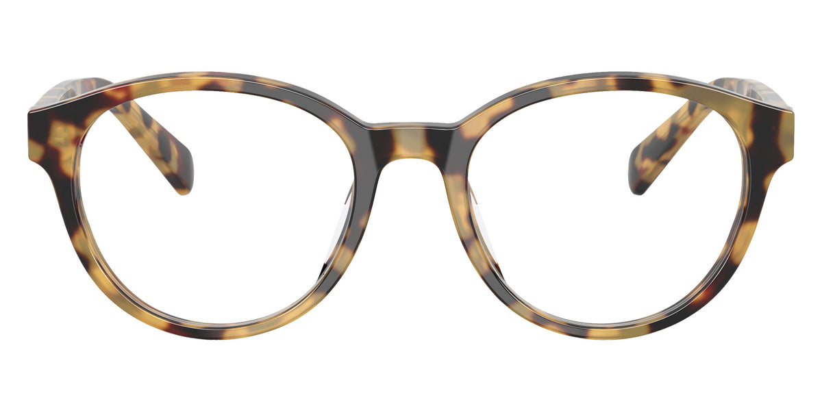 POLO RALPH LAUREN PP8546U 6148 47 - Yellow Tortoise #id:pp8546u6148_s:100100
