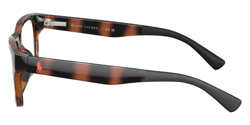 POLO RALPH LAUREN PP8555U 5177 47 - Shiny Dark Havana #id:pp8555u5177_s:104110