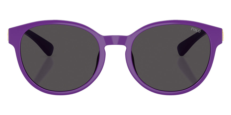 POLO RALPH LAUREN PP9509U 632787 48 - Shiny Purple / Dark Gray #id:pp9509u632787_s:102100