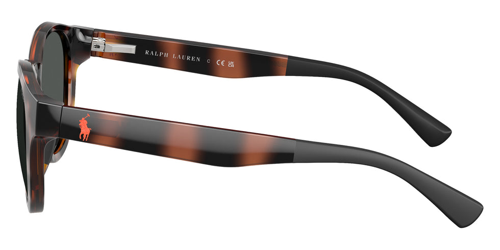 POLO RALPH LAUREN PP9512U 597487 45 - Shiny Havana #id:pp9512u597487_s:102110