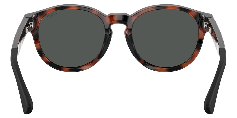 POLO RALPH LAUREN PP9512U 597487 45 - Shiny Havana #id:pp9512u597487_s:102115