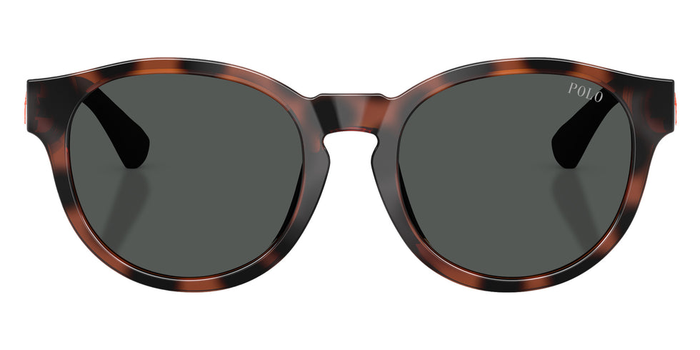 POLO RALPH LAUREN PP9512U 597487 45 - Shiny Havana #id:pp9512u597487_s:102100