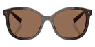 Prada PR 22ZS 17N06B 53 - Tartaruga Radica / Dark Brown #id:pr22zs17n06b_s:100100