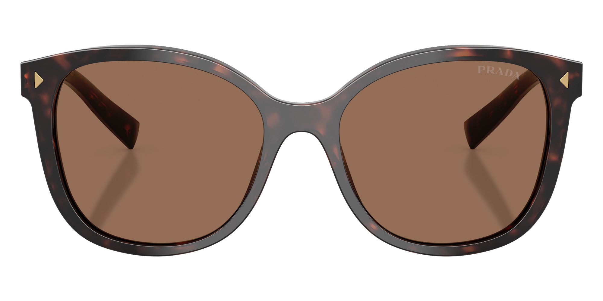 Prada PR 22ZS 17N06B 53 - Tartaruga Radica / Dark Brown #id:pr22zs17n06b_s:100100