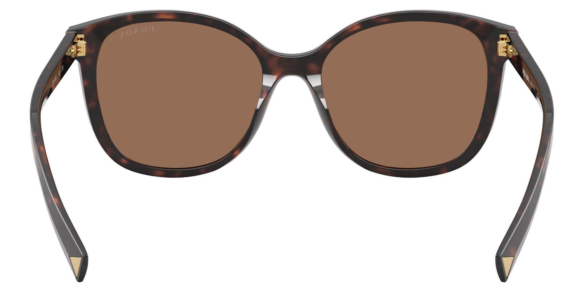 Prada PR 22ZS 17N06B 53 - Tartaruga Radica / Dark Brown #id:pr22zs17n06b_s:100115