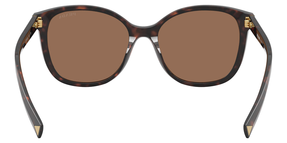 Prada PR 22ZS 17N06B 53 - Tartaruga Radica / Dark Brown #id:pr22zs17n06b_s:100115