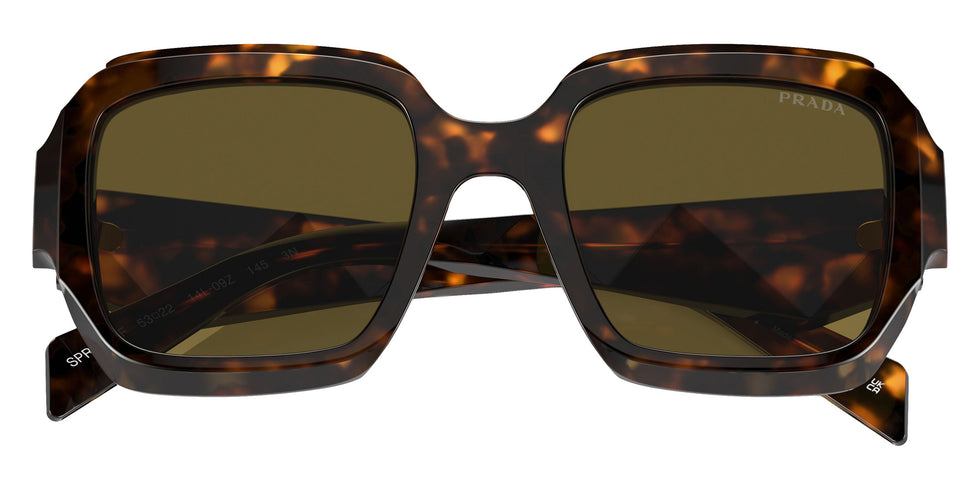 Prada PR 28ZSF 14L09Z 54 - Sage/Honey Tortoise / Dark Brown #id:pr28zsf14l09z_s:100120