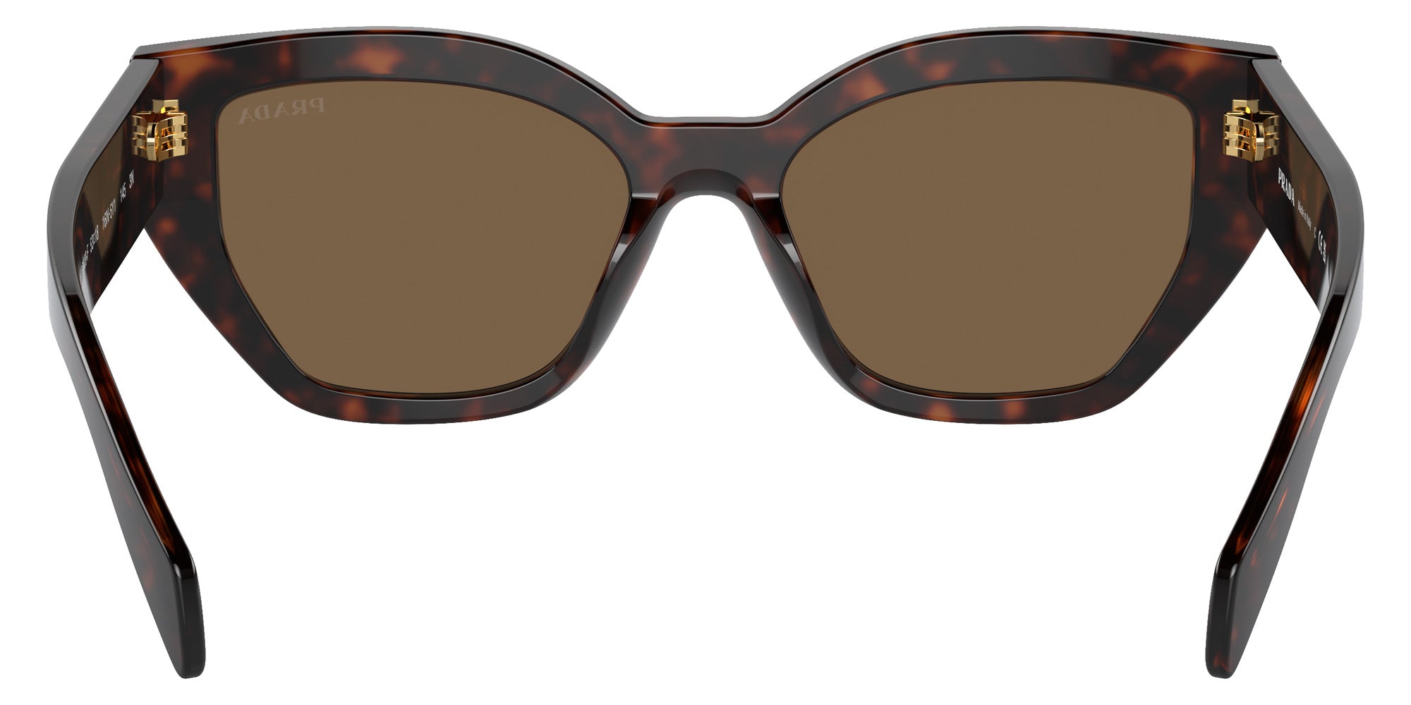 Prada PR A09SF 16N5Y1 55 - Briar Tortoise / Dark Brown #id:pra09sf16n5y1_s:100115