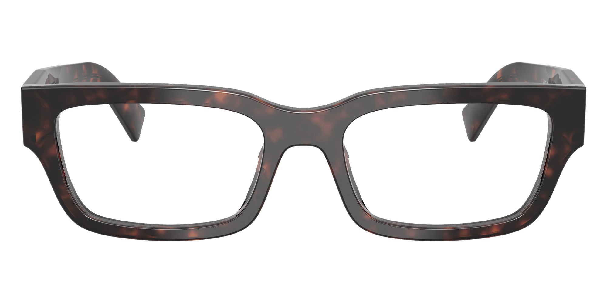 Prada PR C02VF 17N1O1 55 - Root Tortoise #id:prc02vf17n1o1_s:100100