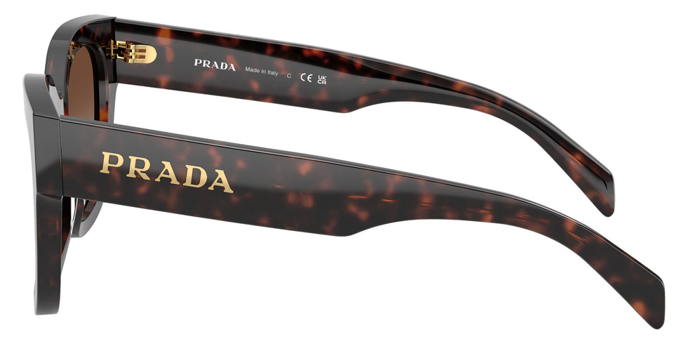 Prada PR C04SF 17N80A 53 - Root Tortoise / Brown Gradient #id:prc04sf17n80a_s:102110