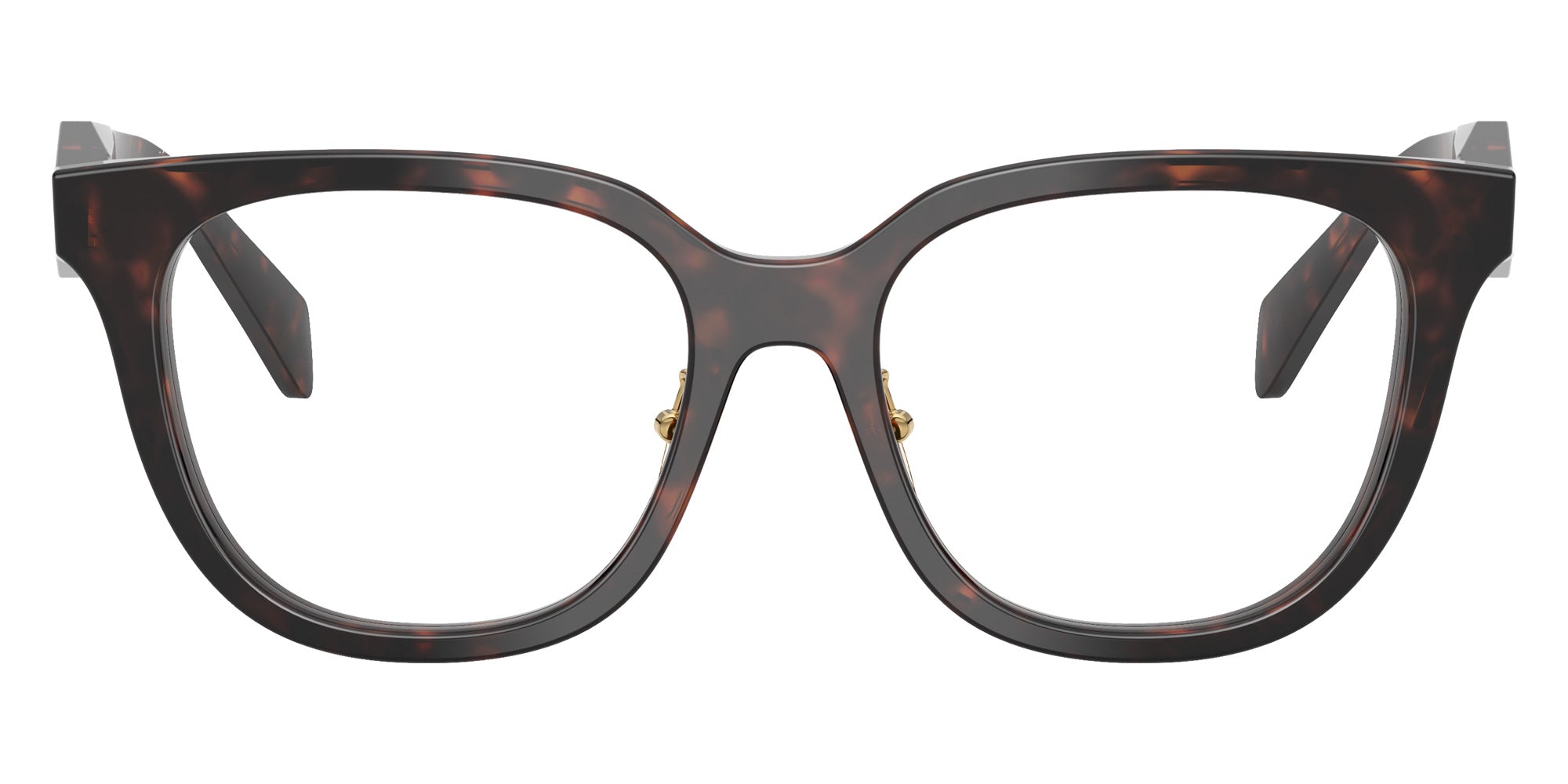 Prada PR C11VF 17N1O1 53 - Root Tortoise #id:prc11vf17n1o1_s:102100