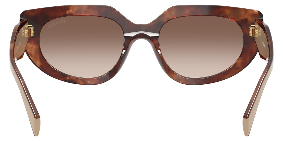 Prada PR D02S 00K10S 53 - Caramel Tortoise #id:prd02s00k10s_s:100115
