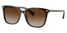 RALPH LAUREN RA5293 VVCV 50033B 56 - Shiny Dark Havana / Gradient Brown #id:ra529350033b_s:100105