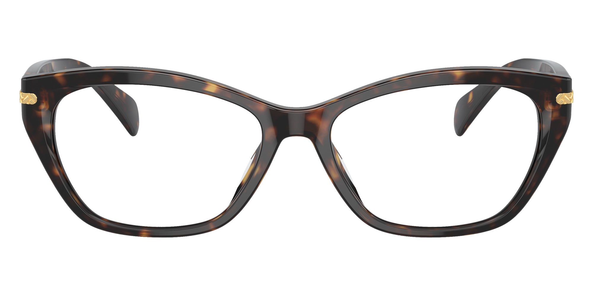 RALPH LAUREN RA7161U 5003 53 - Shiny Dark Havana #id:ra7161u5003_s:100100