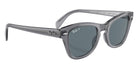 Ray-Ban RB0707S 66413R 53 - Transparent Gray #id:rb0707s66413r_s:102120