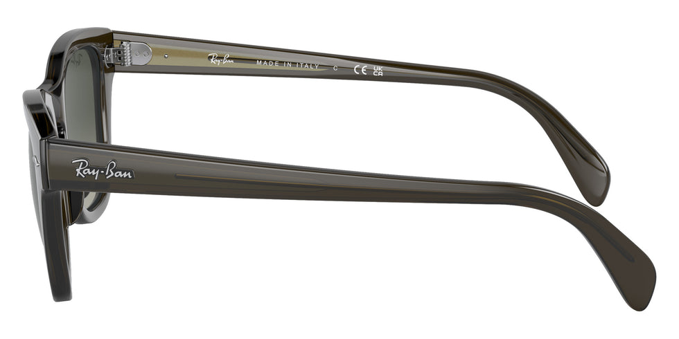 Ray-Ban RB0707S 664271 50 - Transparent Olive Green / Gray #id:rb0707s664271_s:100110