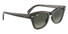 Ray-Ban RB0707S 664271 50 - Transparent Olive Green / Gray #id:rb0707s664271_s:100120