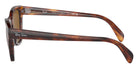 Ray-Ban RB0707S 954/33 53 - Striped Havana #id:rb0707s95433_s:104110