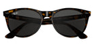 Ray-Ban RB2185 Wayfarer II Classic 1292B1 55 - Havana on Transparent Brown #id:rb21851292b1_s:100125