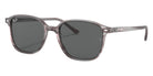 Ray-Ban RB2193 Leonard 1314B1 53 - Striped Gray / Dark Gray #id:rb21931314b1_s:100105