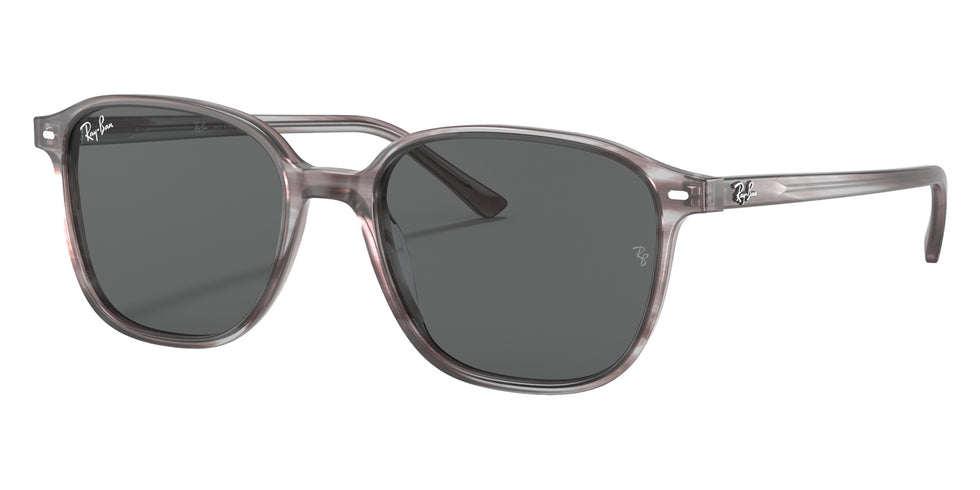 Ray-Ban RB2193 Leonard 1314B1 53 - Striped Gray / Dark Gray #id:rb21931314b1_s:100105