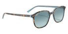 Ray-Ban RB2193 Leonard 13163M 53 - Havana on Light Blue / Blue #id:rb219313163m_s:102120