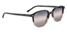 Ray-Ban RB2193 Leonard Bi-Gradient 1326GE 53 - Gray Havana / Blue/Pink #id:rb21931326ge_s:100120