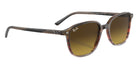 Ray-Ban RB2193 Leonard 138085 51 - Striped Brown & Red / Brown #id:rb2193138085_s:104120