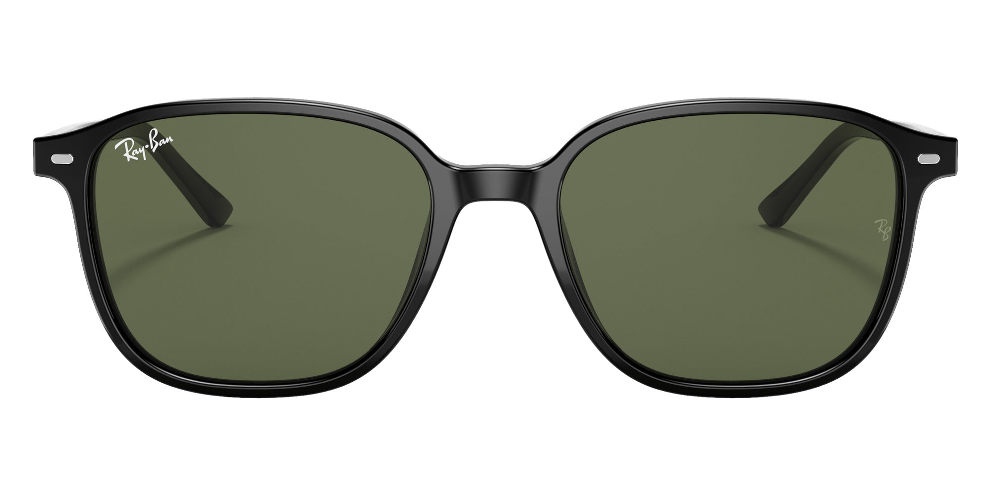 Ray-Ban RB2193 Leonard 901/31 51 - Black / G-15 Green #id:rb219390131_s:108100