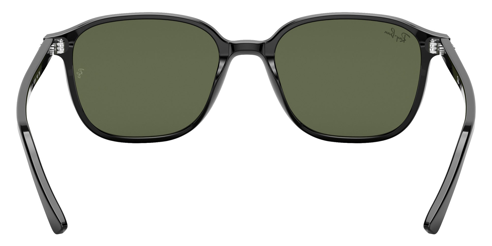 Ray-Ban RB2193 Leonard 901/31 51 - Black / G-15 Green #id:rb219390131_s:108115