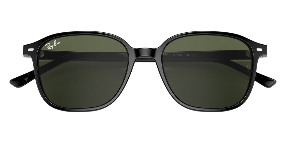 Ray-Ban RB2193 Leonard 901/31 51 - Black / G-15 Green #id:rb219390131_s:108125