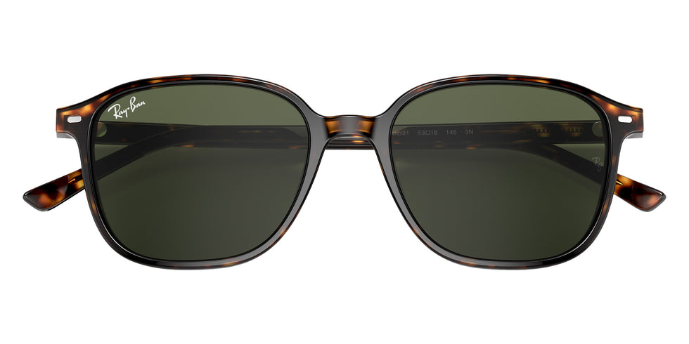Ray-Ban RB2193 Leonard 902/31 55 - Tortoise #id:rb219390231_s:104125