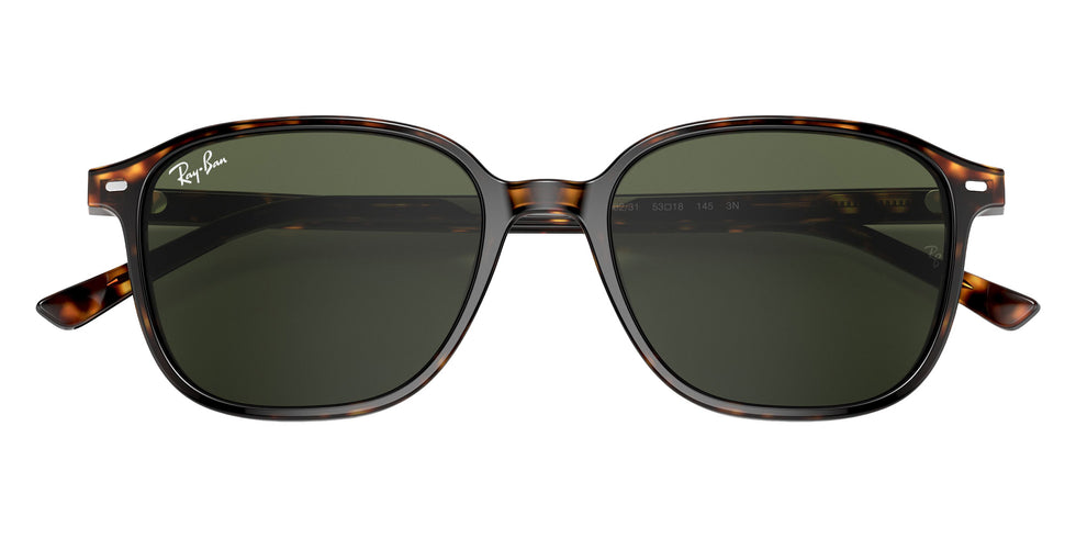 Ray-Ban RB2193 Leonard 902/31 51 - Tortoise / G-15 Green #id:rb219390231_s:102125